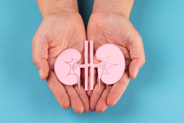 What is Kidney Cancer? image