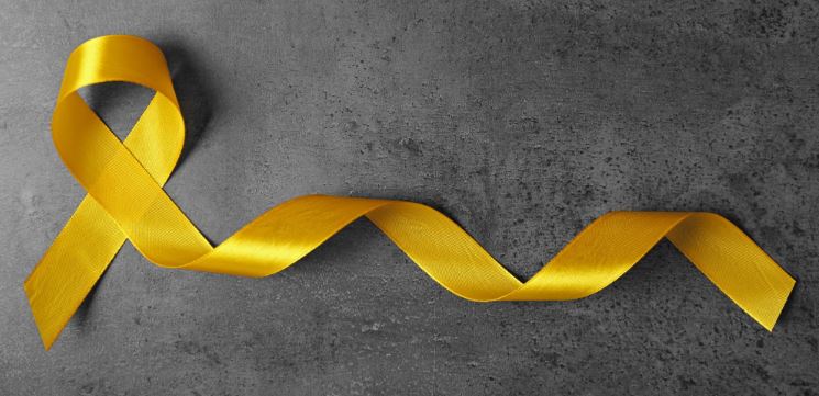 Sarcoma Bone Cancer image