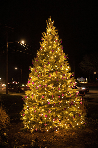 NYCBS Hosts Tree of Hope Lighting Ceremony image