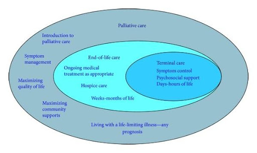 Questions Surrounding Palliative Care; Simplified image