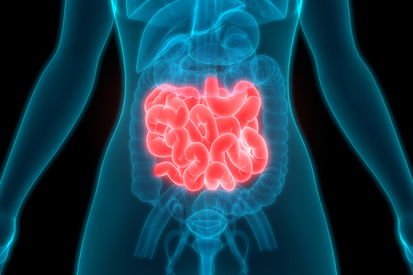 Gastrointestinal Stromal Tumors (GIST) Awareness Day image